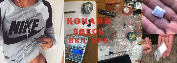 шишки Михайловка