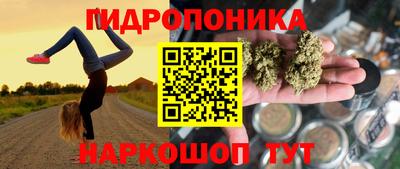 PSILOCYBIN Берёзовский
