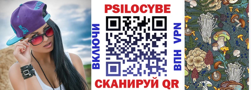 Псилоцибиновые грибы прущие грибы  Кисловодск 