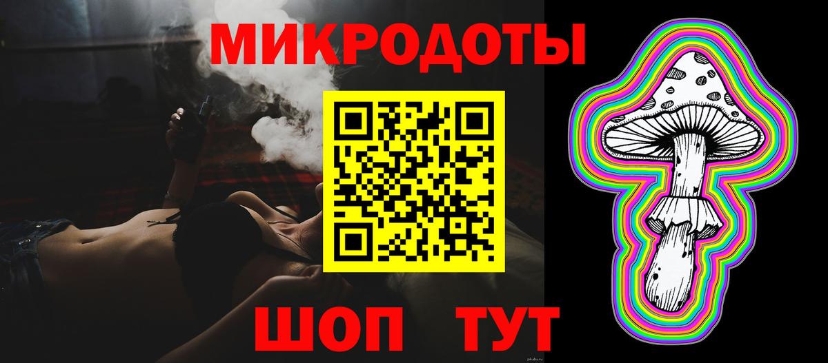 Псилоцибиновые грибы Psilocybine cubensis  Вход с VPN  Кисловодск 